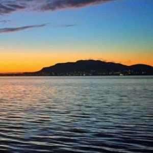 Meet your Posher, Addie